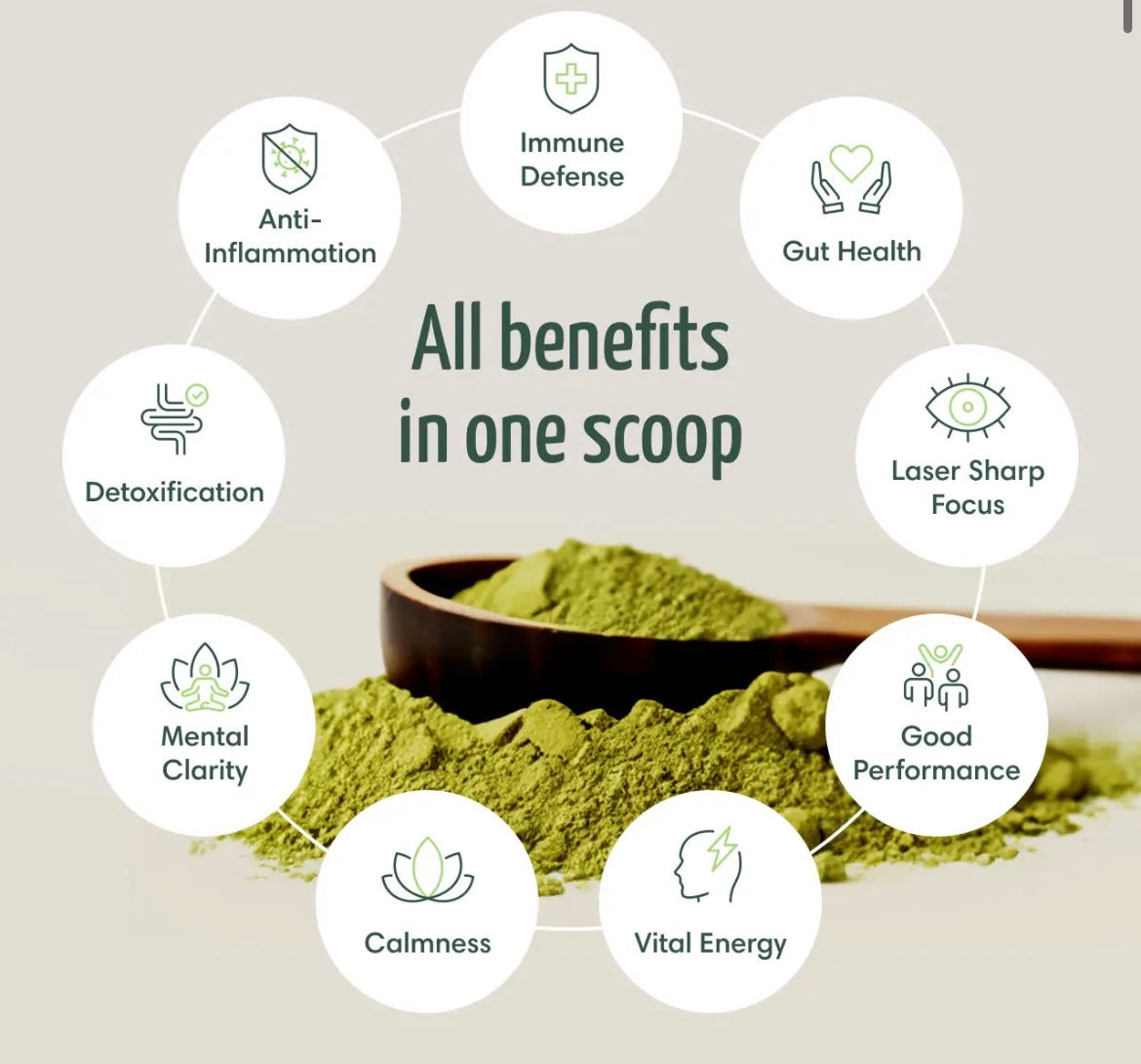 True Sea Moss Green Powder & Organic Irish Sea Moss
