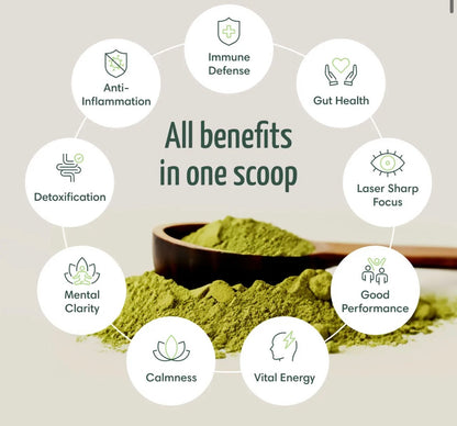 True Sea Moss Green Powder & Organic Irish Sea Moss