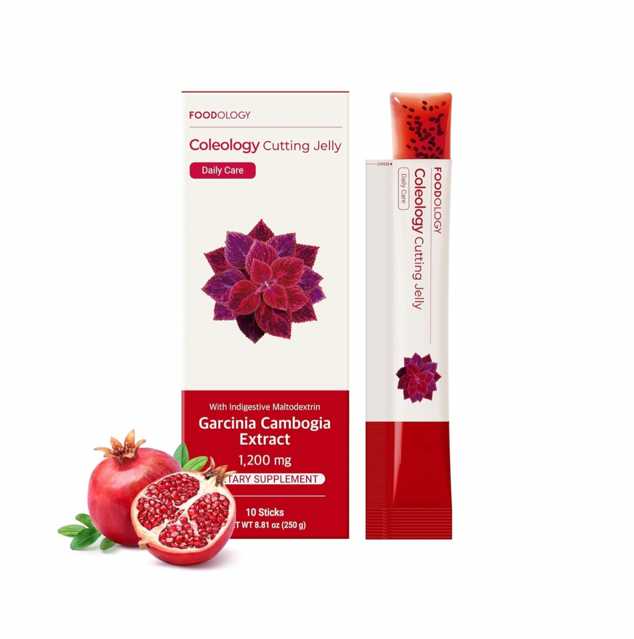 Foodology Coleology Cutting Jelly