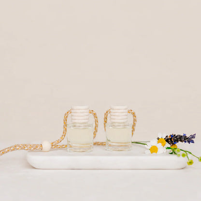 Ivy & Sage Co. Car & Closet Diffuser Duo Orange Blossom