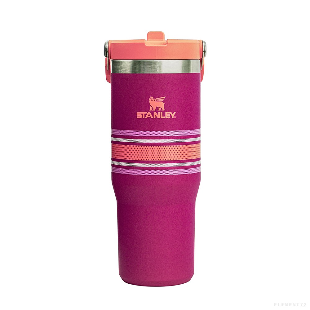 STANLEY The Varsity Iceflow Tumbler